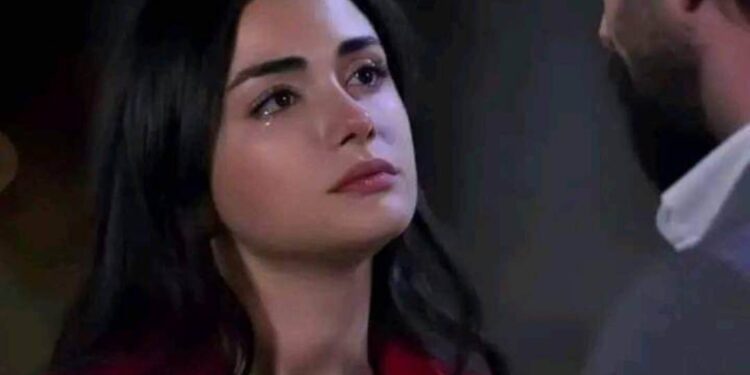 بحر الذكريات …