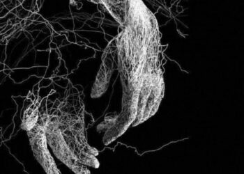 الأديبة مفيدة بن علي تكتب…الواقفان