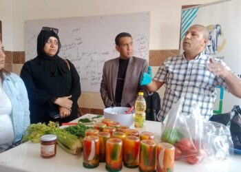 وحده تكافؤ الفرص بالأقصر تنظم ورش عمل  تدريبية