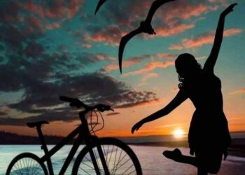 سعاد محمودي  تكتب « المُنبتّ »