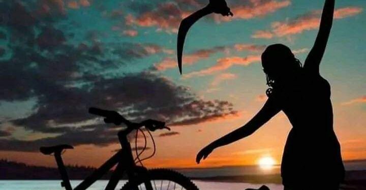 سعاد محمودي تكتب « المُنبتّ »