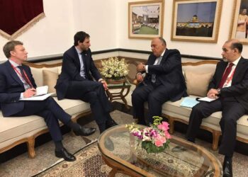 شكري يبحث مع نظيره الهولندي سبل تعزيز العلاقات الثنائية