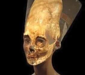 كيفيه التعرف على خدمة البوابات د/ نجيب ميخائيل