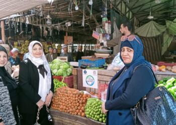 وحدة تكافؤ الفرص بالأقصر تشارك في مبادرة دور على الخير