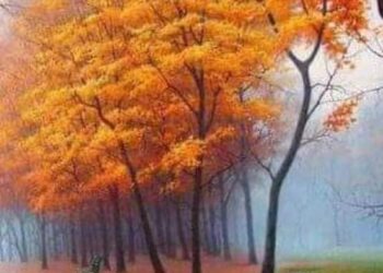 زجر الأصحاب والأهل عن صيام يوم السبت في النفل …