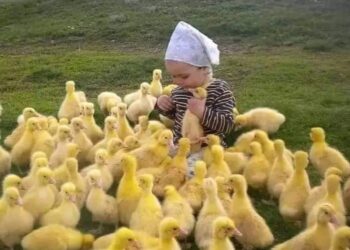 الحياة رائعة ولكن بصدق …