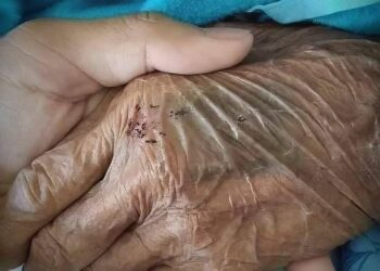 ذكريات البيت الكبير