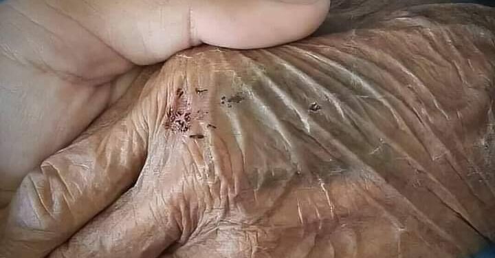 ذكريات البيت الكبير