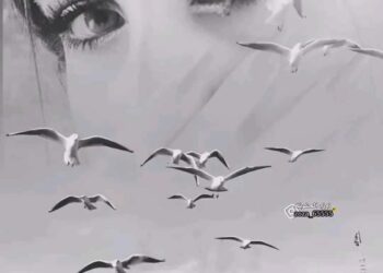 عمري العزيز كليته…