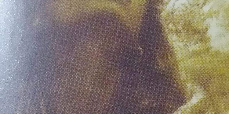 وتـــريـــه …