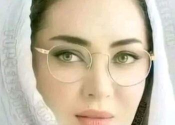 الشاعر عماد شكرى حجازى يكتب « نبضى »