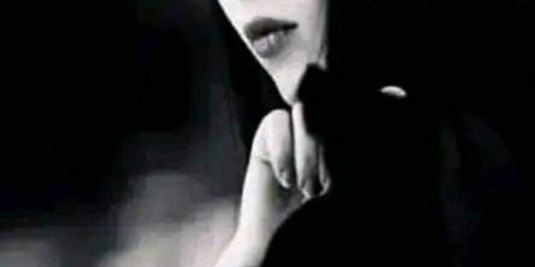 « حبيبى » بقلم الشاعرة غزلان البوادى …