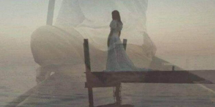 دعينا نلتقي …