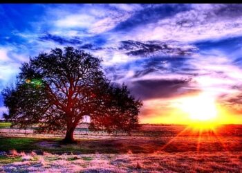 لماذا اليوم 24 ساعة، والساعة 60 دقيقة ؟