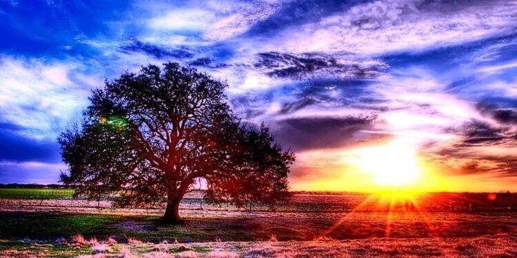 لماذا اليوم 24 ساعة، والساعة 60 دقيقة ؟