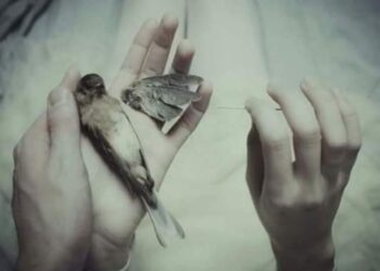 أغنية الشّمس …