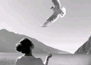 الجمال ليس شيئاً نراهُ …