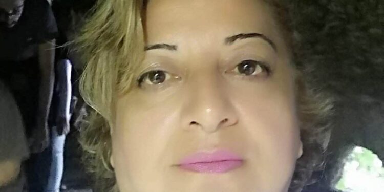 حوار نيزك تائه