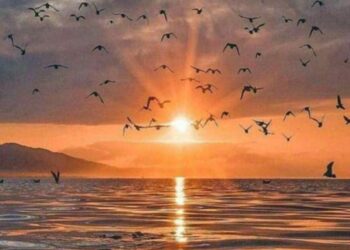 اريد ان انام …