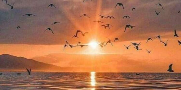 اريد ان انام …