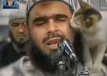 بوح الصورة  …   القطه والإمام