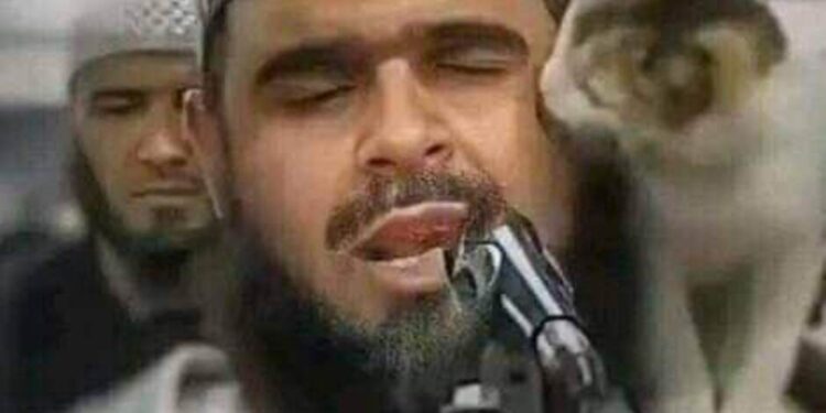 بوح الصورة  …   القطه والإمام