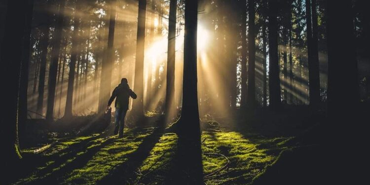 شيء ما سوف يتغير