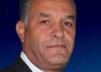 شجرَةٌ الرَماد …