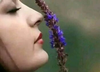 ‏يا أجمل إحساس…