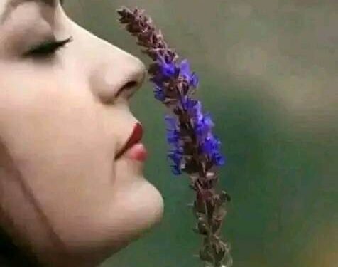 يا أجمل إحساس…