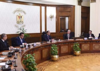 رئيس الوزراء يتابع موقف توافر الأدوية