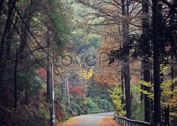 ماهى أسعد اللحظات في عمر الإنسان ؟!