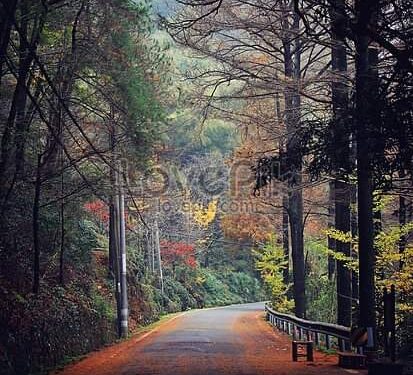 ماهى أسعد اللحظات في عمر الإنسان ؟!