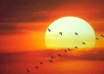 تحلويس خاطر فى عقاب عشية..