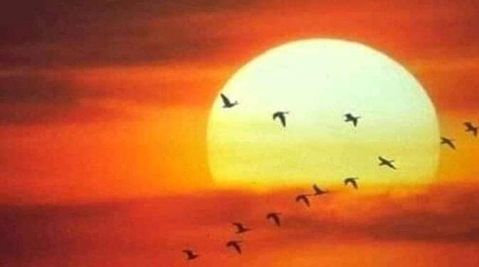 تحلويس خاطر فى عقاب عشية..