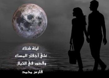 « ليلة شتاء » بقلم الشاعر فارس محمد …