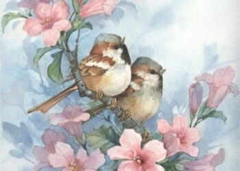 أحبك أنتى …