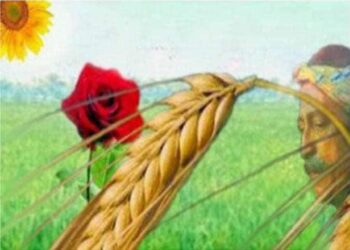 الوردةُ  و السُّنبلة