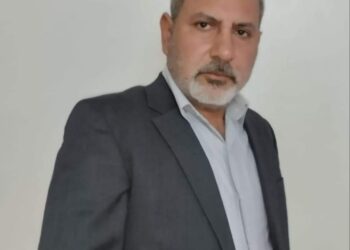 نبتة صبار …