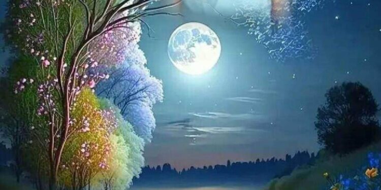 لملم شتاتك …