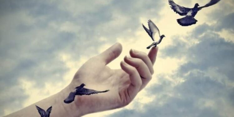 « عاشق » بقلم رأفت عبد العال…