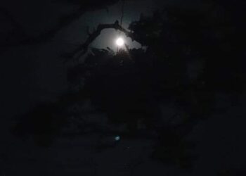 متى يا ليل تهجرني …