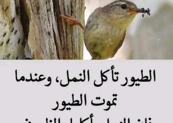 حقائق وأسرار …