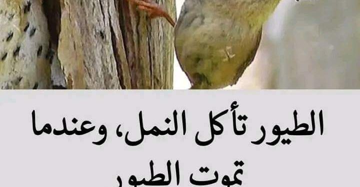 حقائق وأسرار …