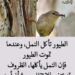 حقائق وأسرار …