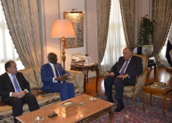 وزير الخارجية يستقبل وزير الشؤون الخارجية والتعاون والموريتانيين في الخارج