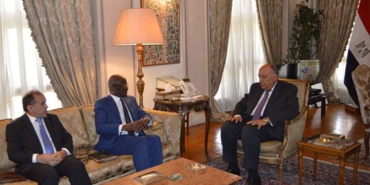 وزير الخارجية يستقبل وزير الشؤون الخارجية والتعاون والموريتانيين في الخارج