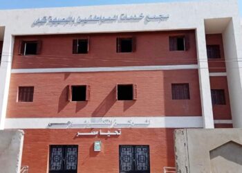 ضمن مبادرة ” حياة كريمة ” .. محافظ أسوان يتابع معدلات الإنجاز بالمشروعات الجارية