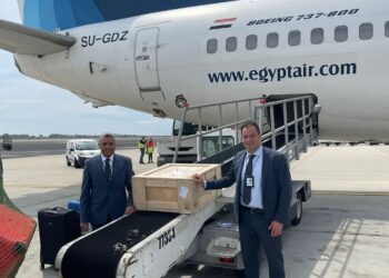 مصر للطيران تنقل شحنة آثار مصرية على رحلتها القادمة من إيطاليا مجانًا