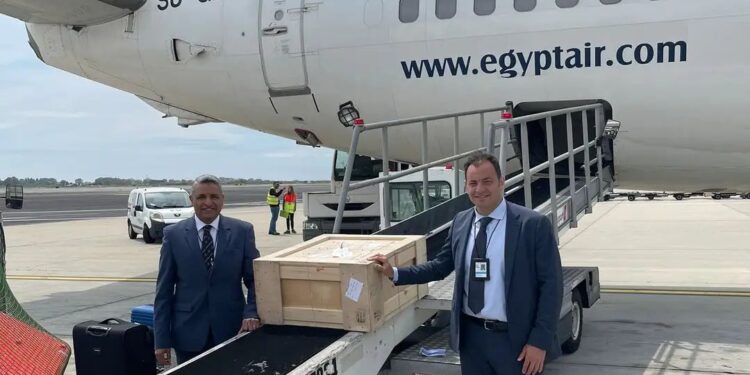 مصر للطيران تنقل شحنة آثار مصرية على رحلتها القادمة من إيطاليا مجانًا